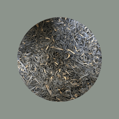 FUJIAN PANYONG